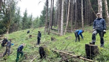 Das Bergwald-Projekt, das seit 30 Jahren besteht, verfolgt das Ziel, bedrohte Wälder und Naturgebiete in Deutschland zu schützen und wiederherzustellen.