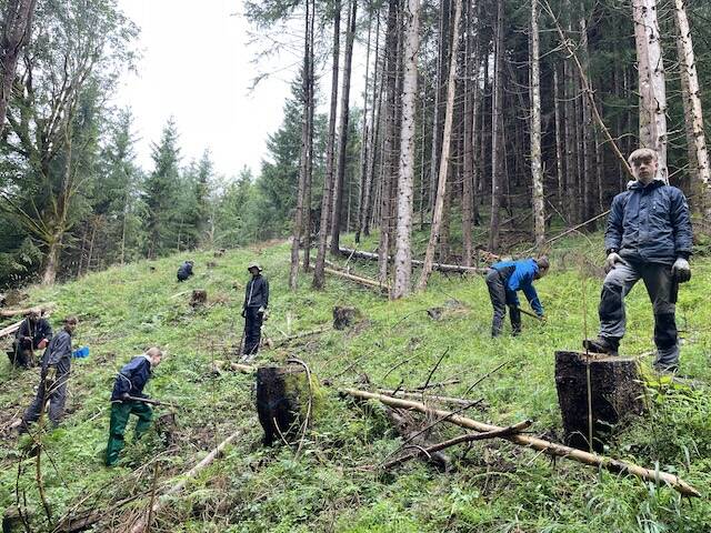 Das Bergwald-Projekt, das seit 30 Jahren besteht, verfolgt das Ziel, bedrohte Wälder und Naturgebiete in Deutschland zu schützen und wiederherzustellen.